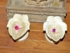 Offering hands to Saraswati